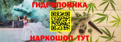 прущие крисы Лесосибирск