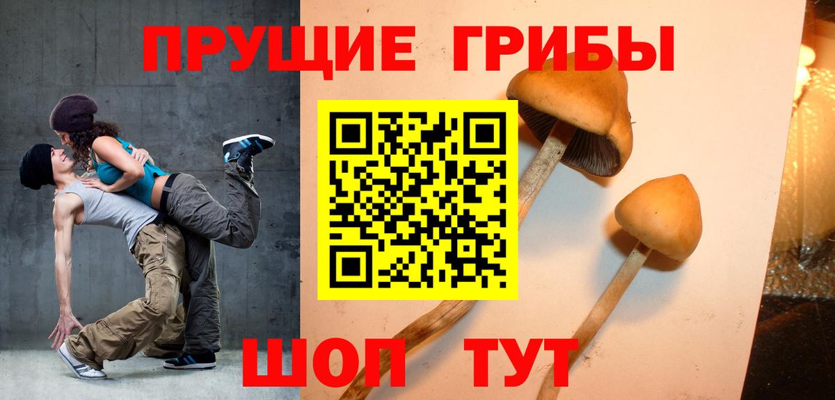 Псилоцибиновые грибы Psilocybine cubensis  Вход с VPN  Псилоцибиновые грибы Magic Shrooms  Гусь-Хрустальный 